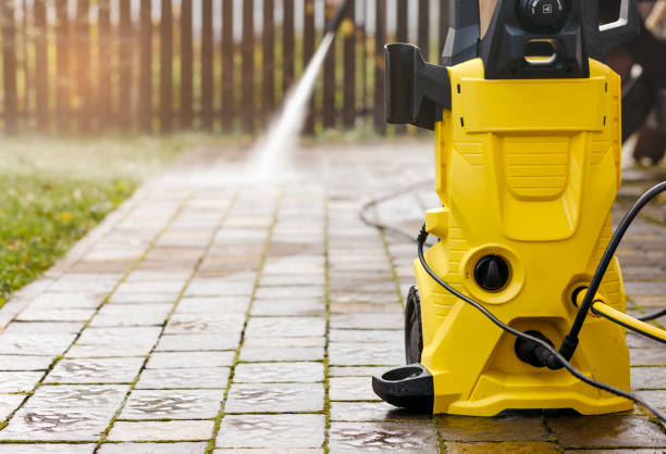 Animal Enclosure Cleaning in Quitman, MS